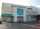 ザグザグフレスポ高屋店(ドラッグストア)まで1057m ネオ　コンテ　Ｂ