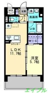 フォレシス下中野 1LDKの間取り