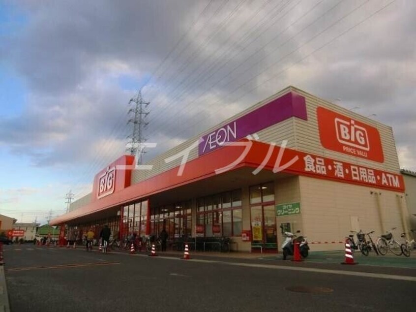 ザ・ビッグ奥田南店(スーパー)まで589m ウッドコート医大南