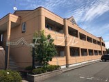 フリージア