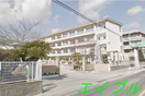 倉敷市立児島小学校(小学校)まで717m ラフォーレ阿部　Ａ棟