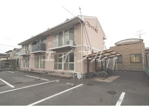 フローレス辰巳