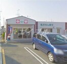 くすりのラブ三浜店(ドラッグストア)まで643m 松浜マンション