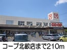 コープ北畝店(スーパー)まで210m ビッグフォレスト　Ｓ