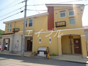 グレース・フレーシュ