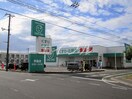 ザグザグ早島店(ドラッグストア)まで740m レアーレ