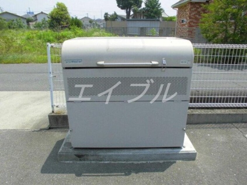  プリムローズ