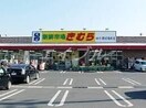 新鮮市場きむら四十瀬球場前店(スーパー)まで682m プリムローズ
