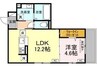 カルム 1LDKの間取り