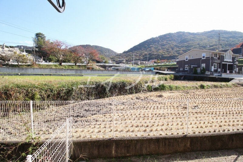  サザンパル