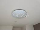 照明（イメージ） メゾン　サフィール