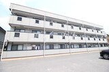 ベルカント辰巳