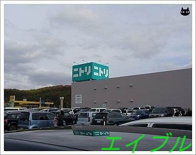 ニトリ倉敷店(電気量販店/ホームセンター)まで1565m ジンジャーエールⅡ