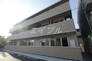  パームツリーＢ