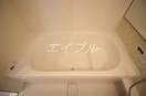  パームツリーＢ
