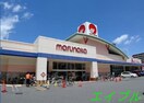 山陽マルナカ倉敷駅前店(スーパー)まで95m プラシード倉敷