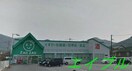 ザグザグ彦崎店(ドラッグストア)まで1434m ディアコート・オリーブ
