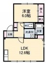 ディアスわかば 1LDKの間取り