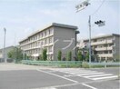 東陽中学校(中学校/中等教育学校)まで1558m セジュールいせ