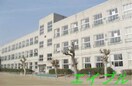倉敷市立老松小学校(小学校)まで598m ヴィーロ　キャピターレ