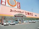 スーパードラッグひまわり下中野店(ドラッグストア)まで421m コーポレイバン