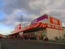 ザ・ビッグ奥田南店(スーパー)まで255m REGALEST 神田町Ⅳ