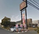鎌倉パスタ辰巳店(その他飲食（ファミレスなど）)まで340m ドエリング８