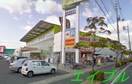 ディオ岡山西店(スーパー)まで1225m エアフォルク