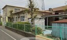 岡山市立福浜幼稚園(幼稚園/保育園)まで369m 福富GRADEマンション