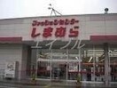 ファッションセンターしまむら下中野店(ショッピングセンター/アウトレットモール)まで714m ワタナベマンション