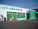 ザグザグ大元店(ドラッグストア)まで426m ロイヤルガーデン野田