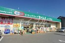 ドラッグセイムス妹尾店(ドラッグストア)まで1087m 箕島558-3平屋