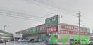 エブリイ倉敷林店(スーパー)まで1033m サンガーデン