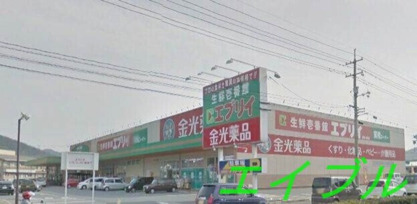 エブリイ倉敷林店(スーパー)まで1033m サンガーデン