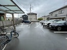  Sarahーサラー