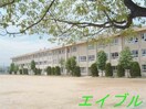 倉敷市立中島小学校(小学校)まで278m Luce