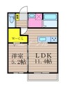 メゾンSORA 1LDKの間取り