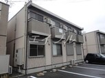 ダンデライオンＣ