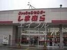 ファッションセンターしまむら下中野店(ショッピングセンター/アウトレットモール)まで1044m フェリスコートⅡ