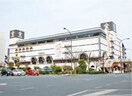 天満屋倉敷店(ショッピングセンター/アウトレットモール)まで347m ＪＲＢハイツ倉敷駅前