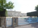 倉敷市立第五福田小学校(小学校)まで540m アメニティ－１４１　Ｂ
