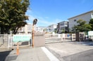 芳田幼稚園(幼稚園/保育園)まで1039m Tiare Manbai