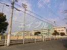 岡山市立大野小学校(小学校)まで1062m ヒマワリ