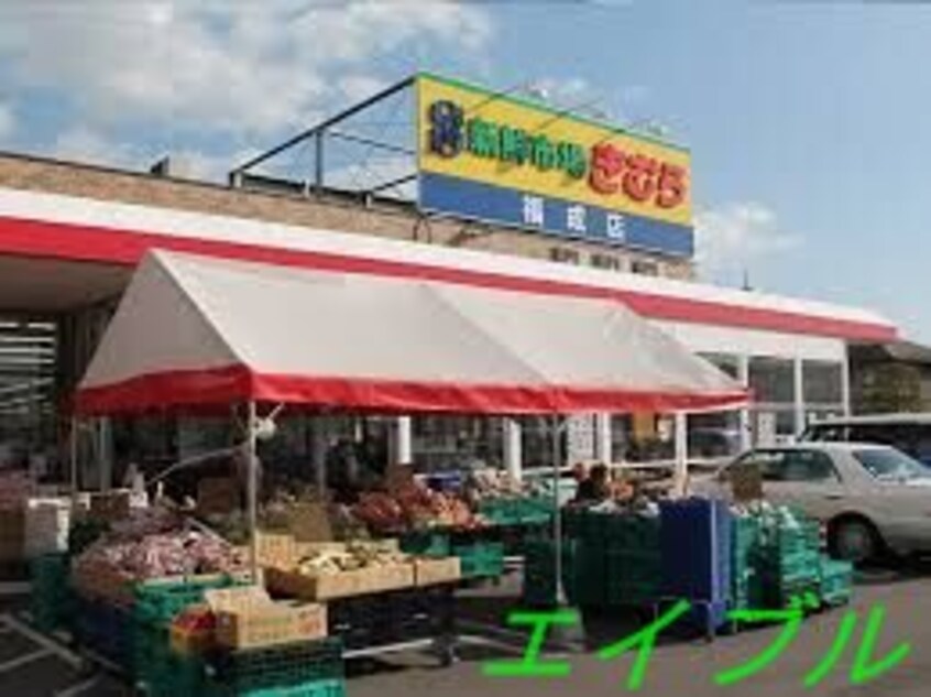 新鮮市場きむら福成店(スーパー)まで643m ディアス２１　Ｂ棟