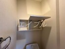 トイレ上部収納 Terra Faveur