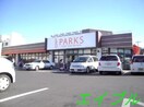 パークス福成店(スーパー)まで543m ディアス２１　Ｂ棟