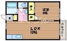 AQUA 1LDKの間取り