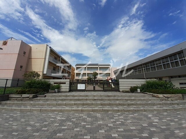 田井小学校(小学校)まで950m ドリームハイツ
