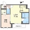シファ松島 1LDKの間取り