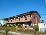 彩ｓａｉ